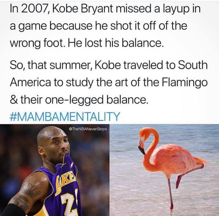 Kobe Bryant meme mamba mentality shot off 1 leg training like flamingo