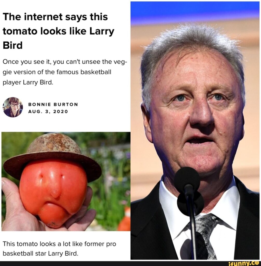 Larry Bird meme looks like a tomato