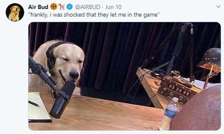 Air Bud meme dog getting interviewed on podcast