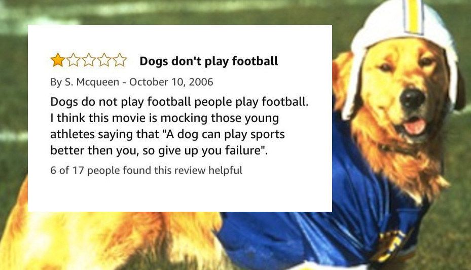 Air Bud movie meme Dogs don't play football review
