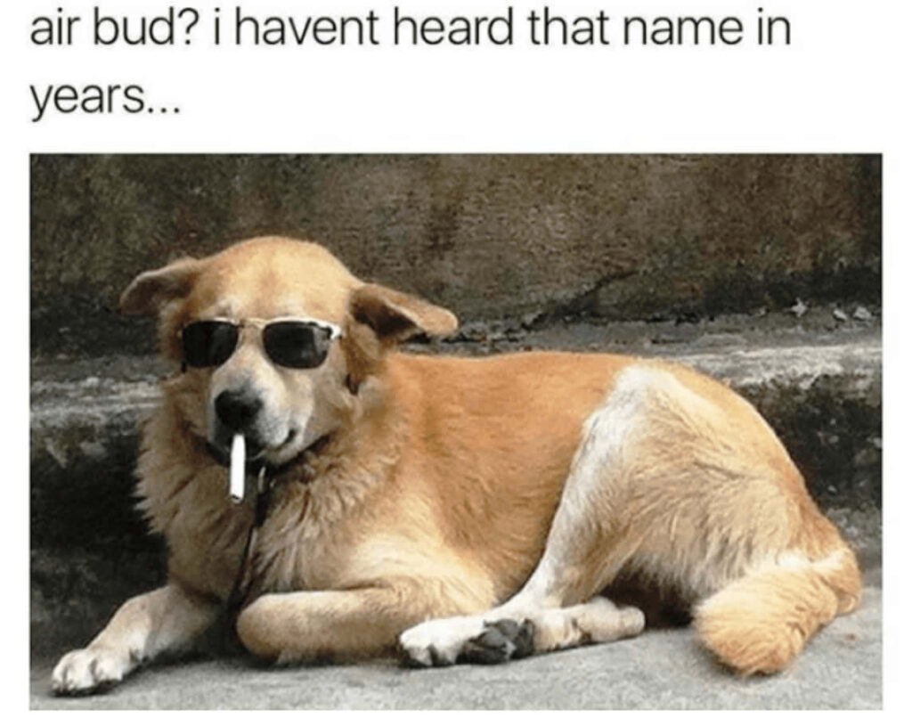 Air Bud meme haven't heard name in years smoking