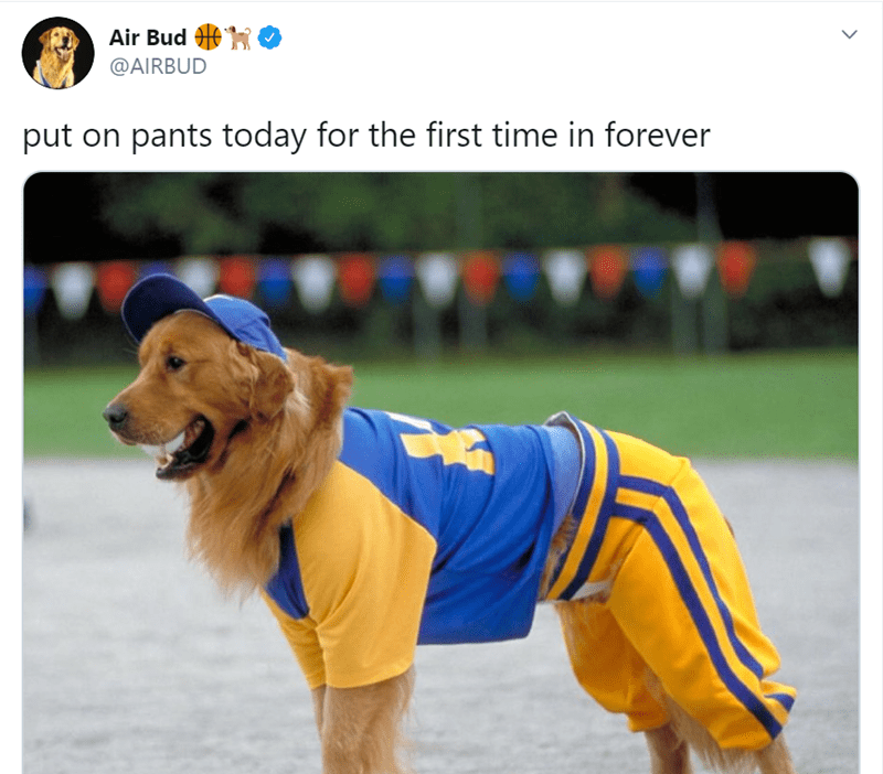 Air Bud meme Baseball uniform put on pants for first time