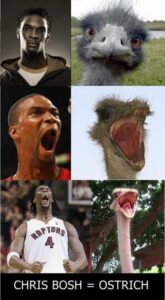 Chris Bosh meme ostrich